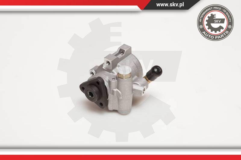 Esen SKV 10SKV055 - Hydraulic Pump, steering system parts5.com