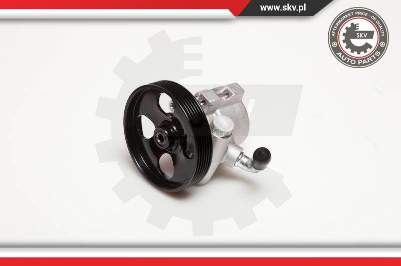Esen SKV 10SKV031 - Hydraulic Pump, steering system parts5.com