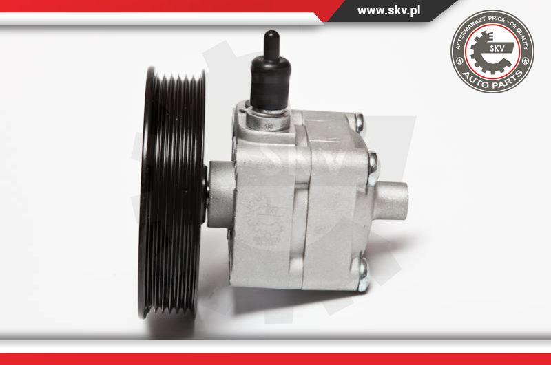 Esen SKV 10SKV033 - Hydraulic Pump, steering system parts5.com