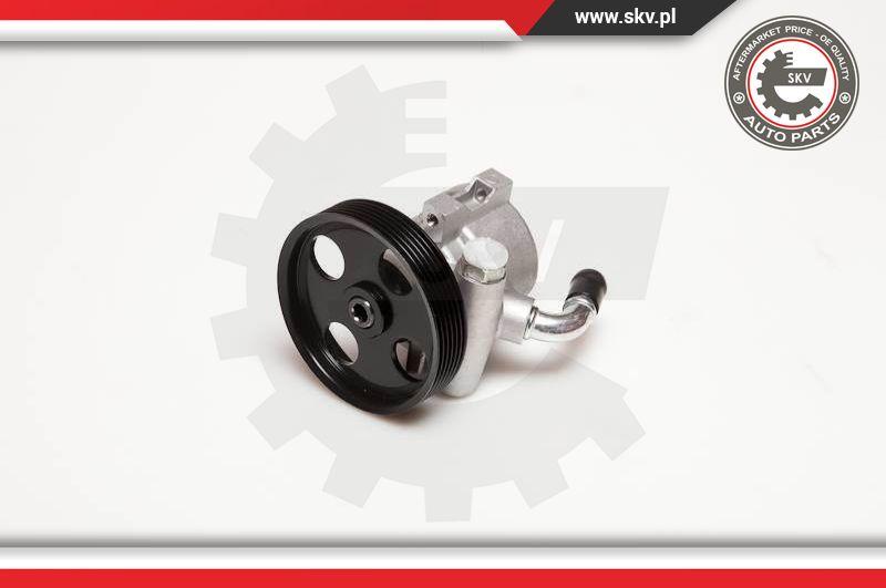 Esen SKV 10SKV025 - Hydraulic Pump, steering system parts5.com