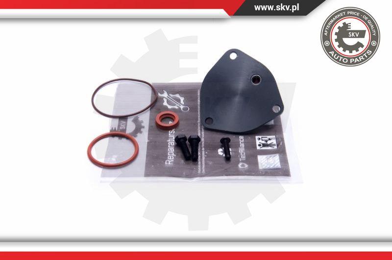 Esen SKV 18SKV806 - Repair Set, vacuum pump (braking system) www.parts5.com