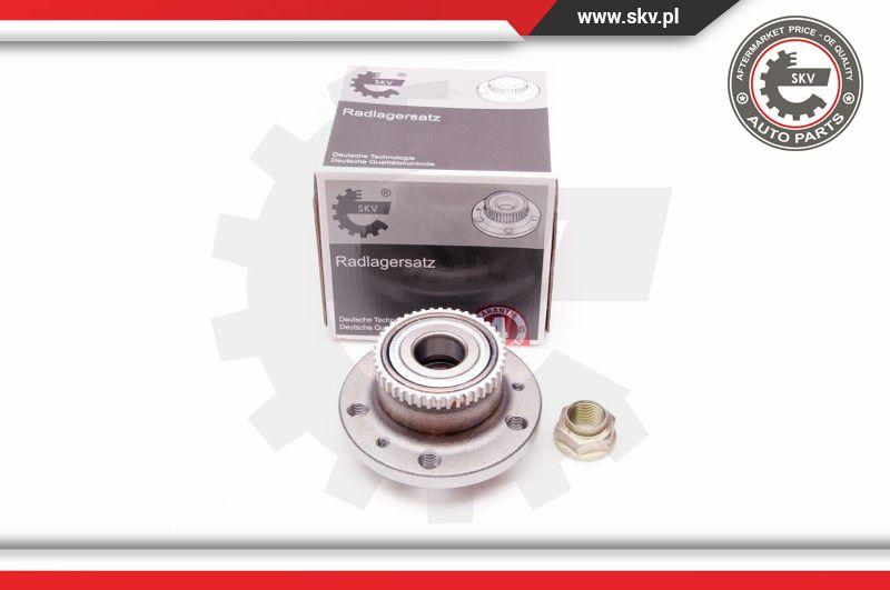 Esen SKV 29SKV160 - Комплект подшипника ступицы колеса www.parts5.com