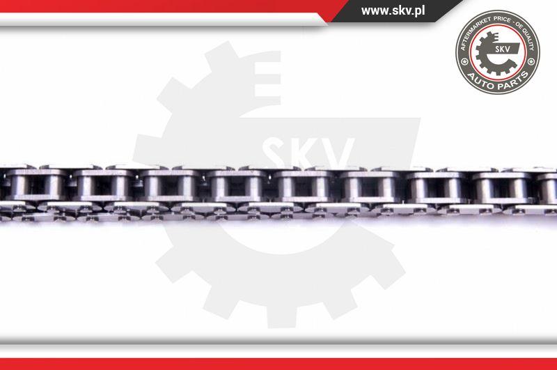 Esen SKV 21SKV158 - Timing Chain Kit www.parts5.com