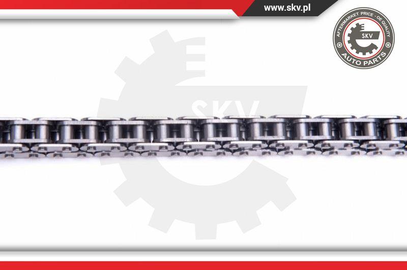 Esen SKV 21SKV169 - Timing Chain Kit www.parts5.com