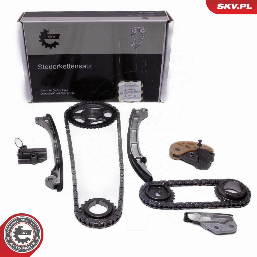 Esen SKV 21SKV250 - Timing Chain Kit www.parts5.com