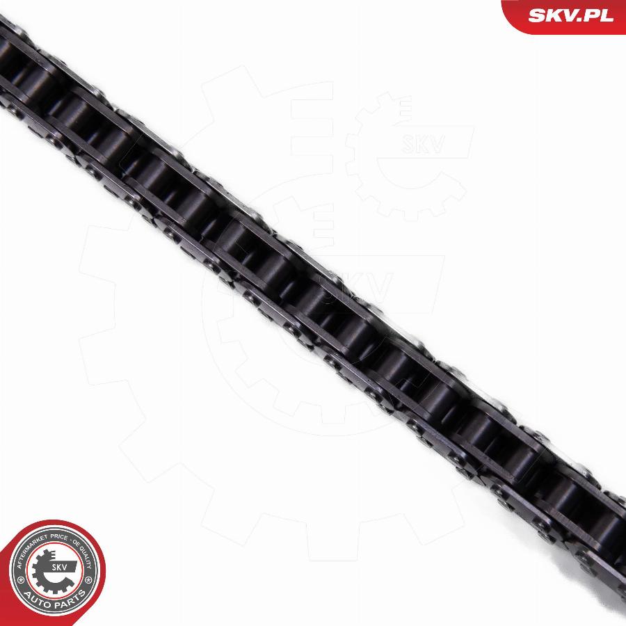 Esen SKV 21SKV252 - Timing Chain Kit www.parts5.com