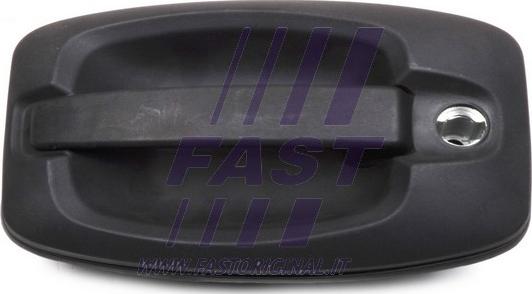 Fast FT94391 - Maner usa www.parts5.com