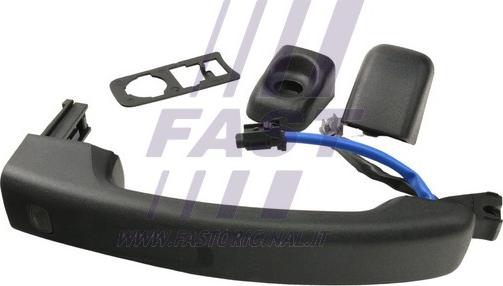 Fast FT94313 - Door Handle parts5.com