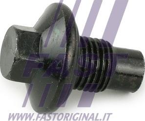 Fast FT94735 - Резьбовая пробка, масляный поддон www.parts5.com