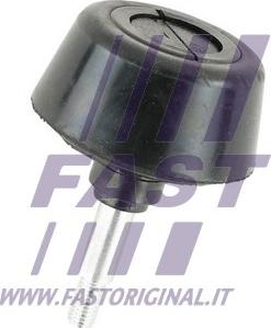 Fast FT95478 - Ghid, buton de inchidere www.parts5.com