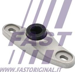 Fast FT95524 - Guide, locking knob www.parts5.com