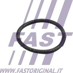 Fast FT49918 - Φλάντζα, σωλήνας ψυκτικού υγρού www.parts5.com