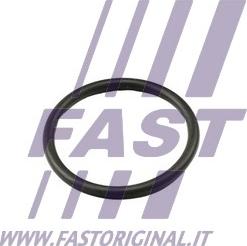 Fast FT49917 - Уплътнение, термостат www.parts5.com