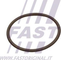 Fast FT49933 - Junta anular, conducto aire admisión www.parts5.com