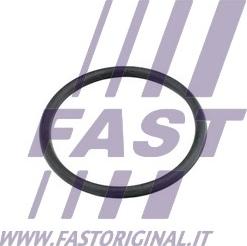 Fast FT49920 - Φλάντζα, σωλήνας ψυκτικού υγρού www.parts5.com