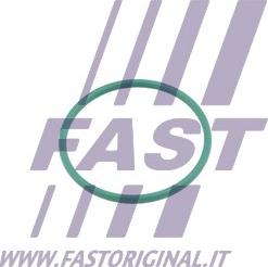 Fast FT49921 - Tesnilni obroc, cev za polnjenje zraka www.parts5.com