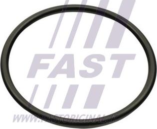 Fast FT49460 - Tömítés, szívókönyök www.parts5.com