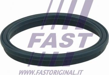 Fast FT49407 - Gasket, intake manifold www.parts5.com