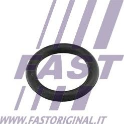 Fast FT49419 - Tesnilka, sesalni razdelilnik www.parts5.com