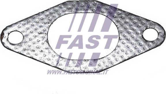 Fast FT49484 - Τσιμούχα, πολλαπλή εξαγωγή www.parts5.com