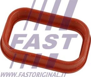 Fast FT49435 - Gasket, intake manifold parts5.com