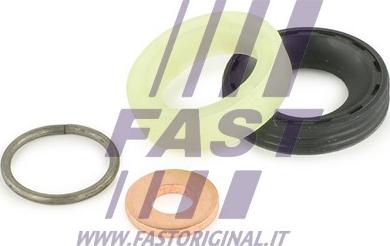 Fast FT49842 - Garnitura zaptivki, brizgaljka za ubrizgavanje www.parts5.com