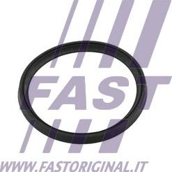 Fast FT49854 - Seal Ring, charger www.parts5.com