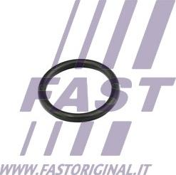 Fast FT49856 - Прокладка, фланец охлаждающей жидкости www.parts5.com