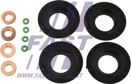 Fast FT49850 - Set garnituri etansare,injectoare parts5.com