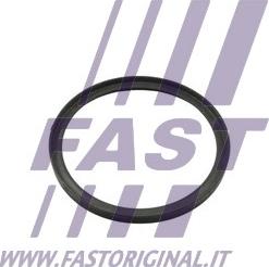 Fast FT49857 - Seal Ring, charger parts5.com