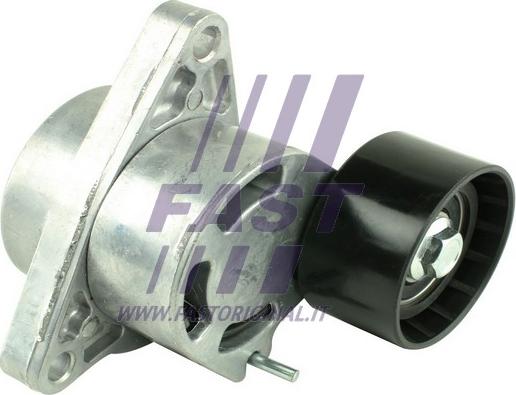 Fast FT44620 - Tensor de correa, correa poli V www.parts5.com