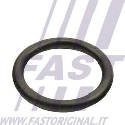 Fast FT48940 - Komplet tesnil, hladilnik olja www.parts5.com