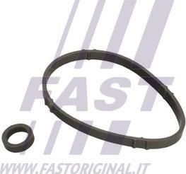 Fast FT48952 - Tihend,õliradiaator parts5.com