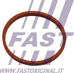 Fast FT48932 - Уплотнительное кольцо, трубка нагнетаемого воздуха www.parts5.com