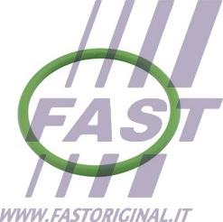 Fast FT48803 - Tesnenie prívodu turbíny www.parts5.com