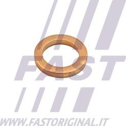 Fast FT48802 - Zaptivka, usis turbine (punjač) www.parts5.com