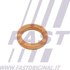 Fast FT48802 - Uszczelnienie, wejście do turbiny (doładowanie) www.parts5.com