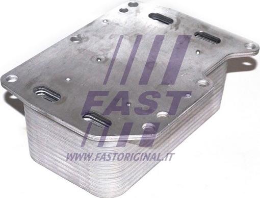 Fast FT55143 - Motor yağ radyatörü www.parts5.com