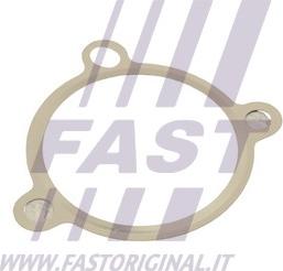 Fast FT50605 - Φλάντζα, βαλβίδα AGR www.parts5.com