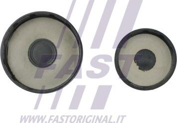 Fast FT50818 - Пробка антифриза www.parts5.com