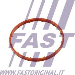 Fast FT50701 - Gasket, vacuum pump www.parts5.com