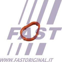 Fast FT50702 - Gasket, vacuum pump www.parts5.com