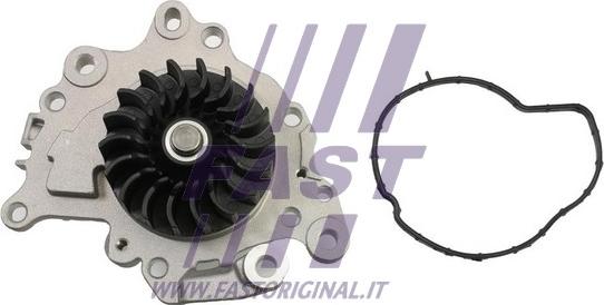 Fast FT57002 - Water Pump parts5.com