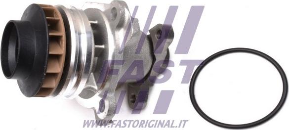 Fast FT57181 - Водяной насос www.parts5.com