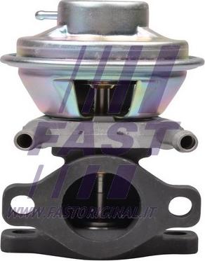 Fast FT60230 - Βαλβίδα AGR www.parts5.com