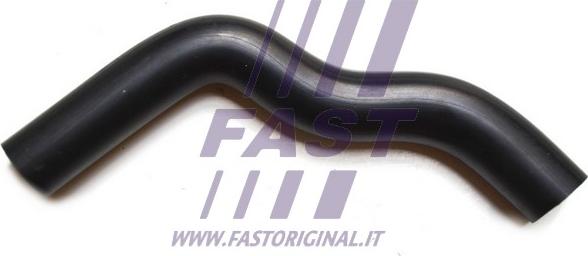 Fast FT61313 - Oil Hose www.parts5.com