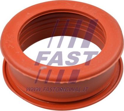 Fast FT61773 - Cev polnilnega zraka www.parts5.com