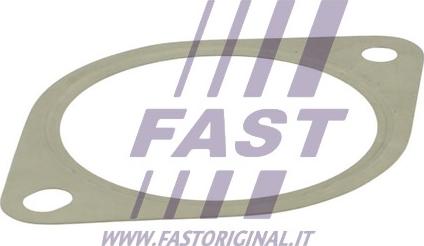 Fast FT84809 - Tiiviste, pakoputki www.parts5.com