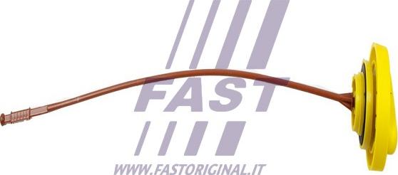 Fast FT80309 - Oil Dipstick www.parts5.com