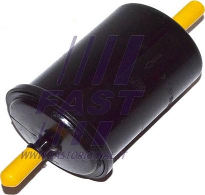 Fast FT39095 - Filtro combustible www.parts5.com